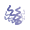 NTs