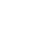 NTs