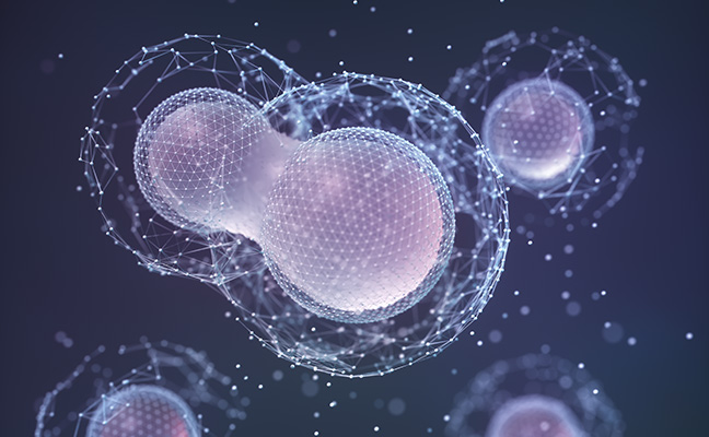 NRG1-β1: The "magic factor" in Nerve Cell Culture