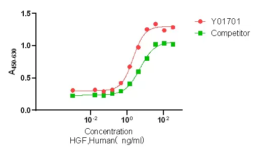 Recombinant Human HGF