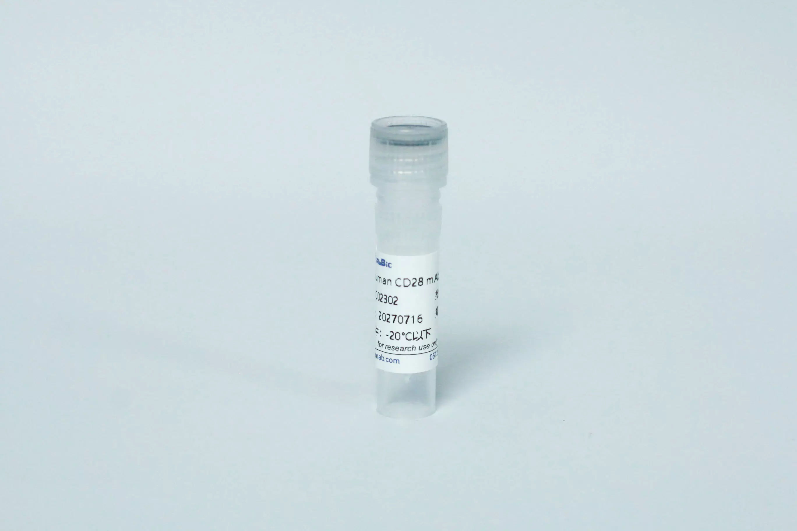 Anti-Human CD28 mAb