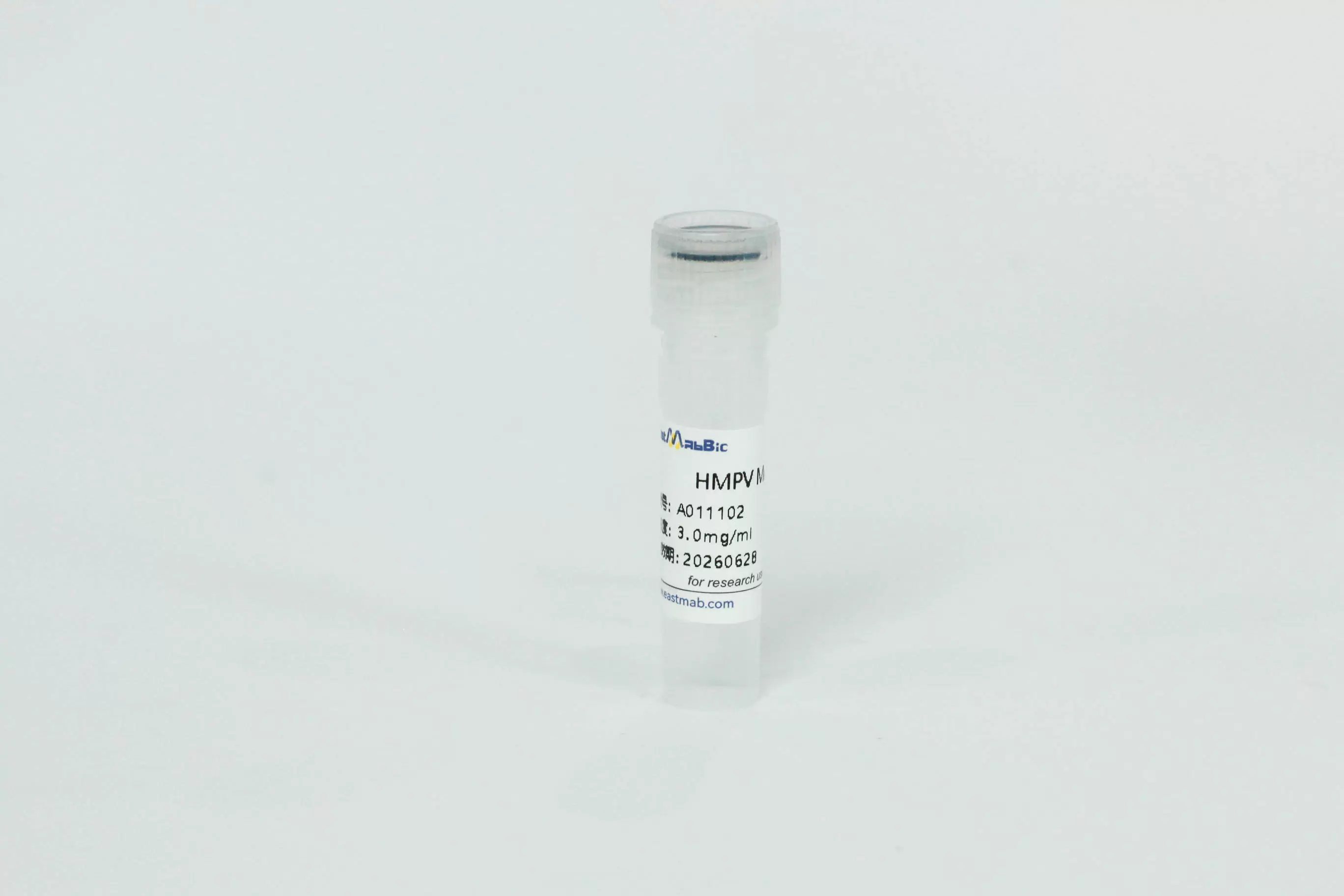 HMPV Matrix Protein