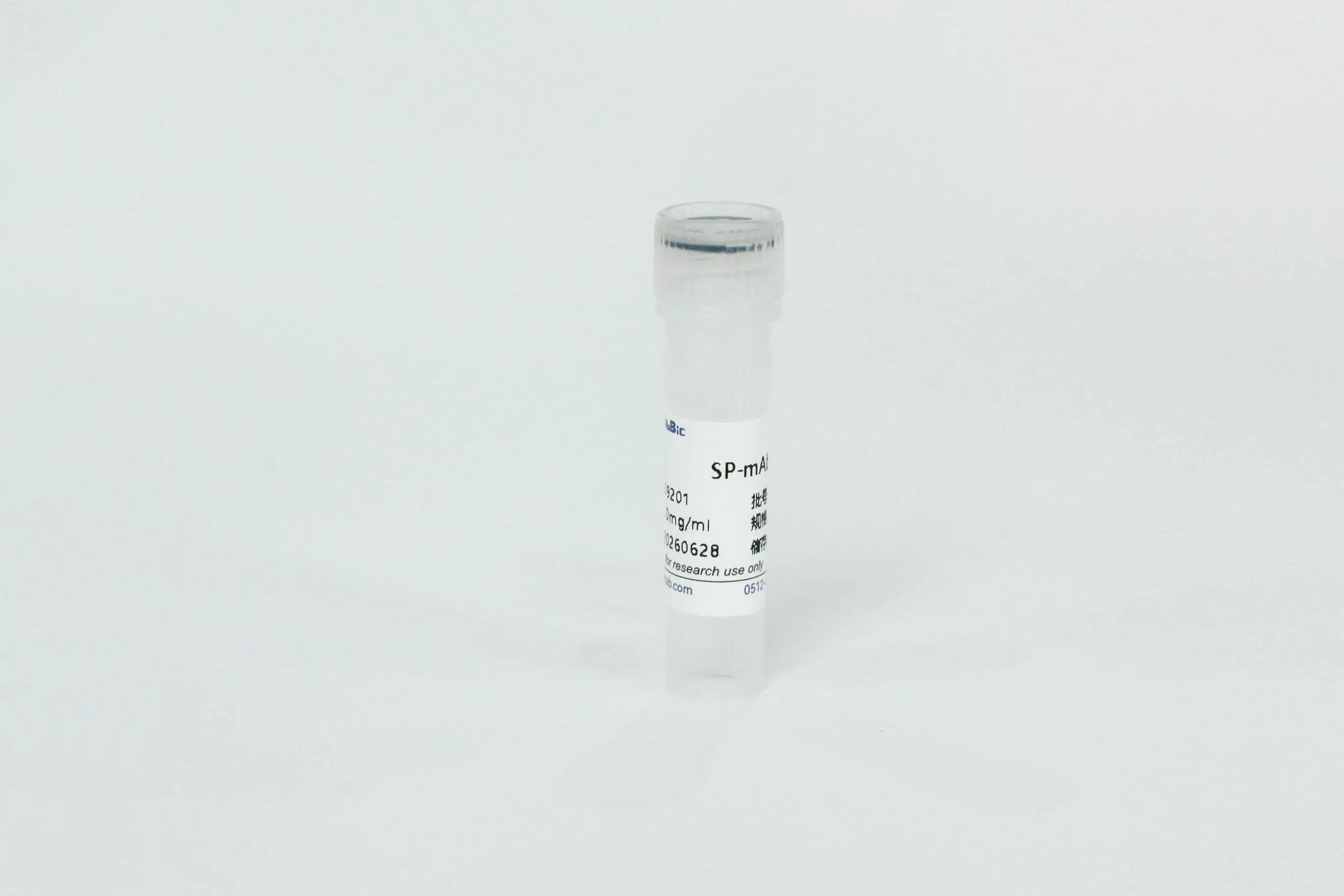 SP Monoclonal Antibody