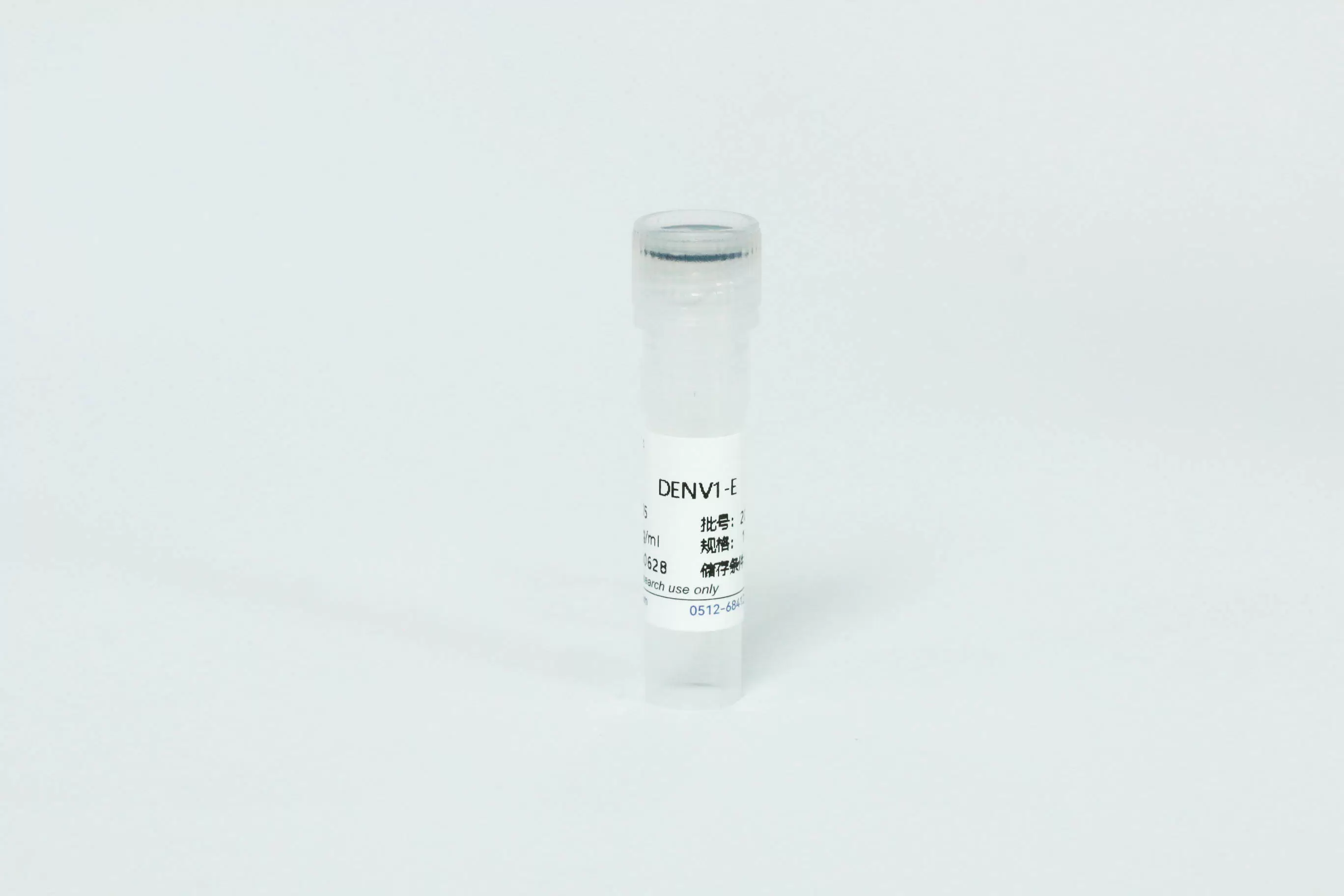 DENV1 EnV