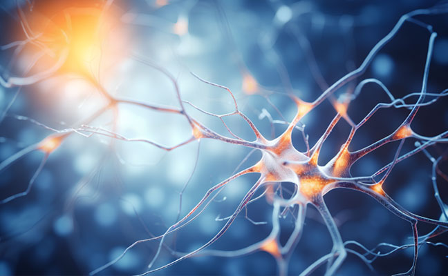 Neuroscience Proteins: Your Guardian of Nerve Cell Culture