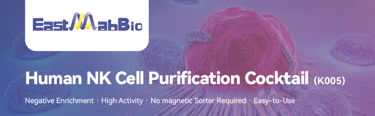 EastMabBio K005 Purification Kit | Single Spin for Highly Active NK Cells – Effortless Isolation