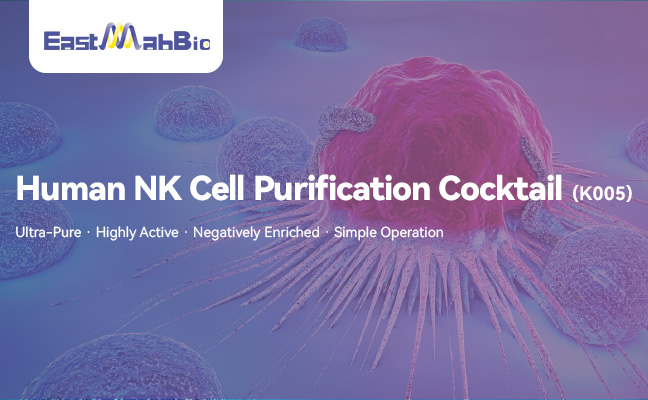 EastMabBio K005 Purification Kit | Single Spin for Highly Active NK Cells &ndash; Effortless Isolation