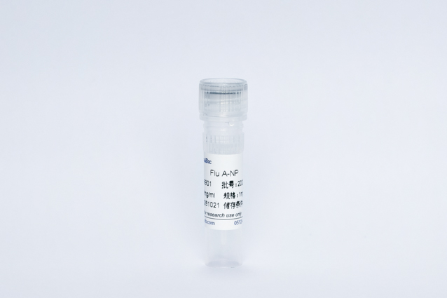 Recombinant Influenza A  Protein (Flu A-NP)