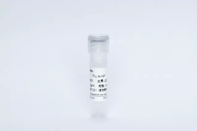 Influenza A NP