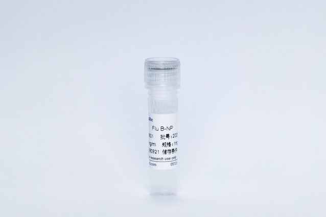 Recombinant Influenza B Protein (Flu B-NP)