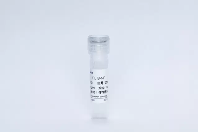 Influenza B NP