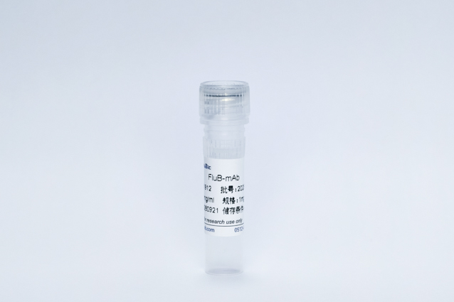 Recombinant Influenza B Protein (FluB-mAb)