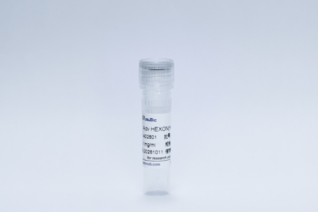 Recombinant Adv HEXON(His Tag)