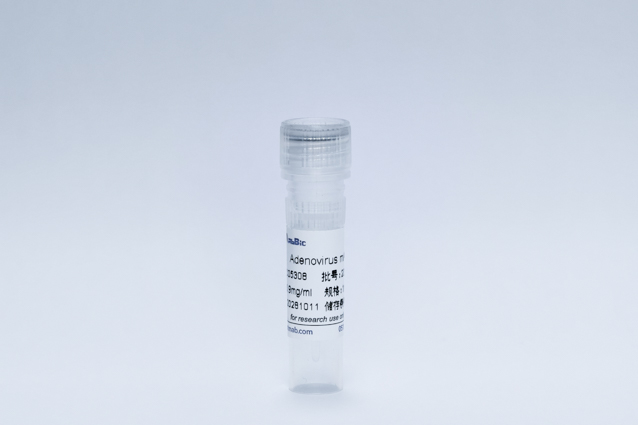 Recombinant Adenovirus Protein (Adenovirus mAb)