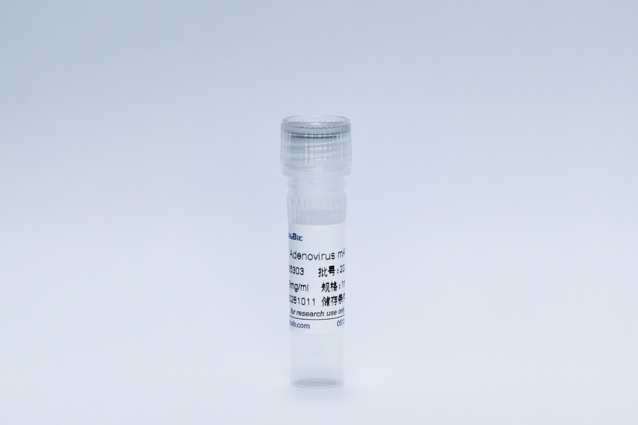 Recombinant Adenovirus  Protein (Adenovirus mAb)