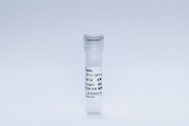 Recombinant HPIV1 NP(His Tag)