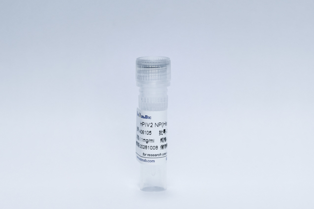 Recombinant HPIV2 NP(His Tag)