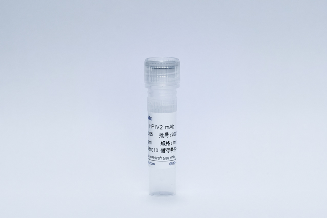 Recombinant HPIV2 mAb