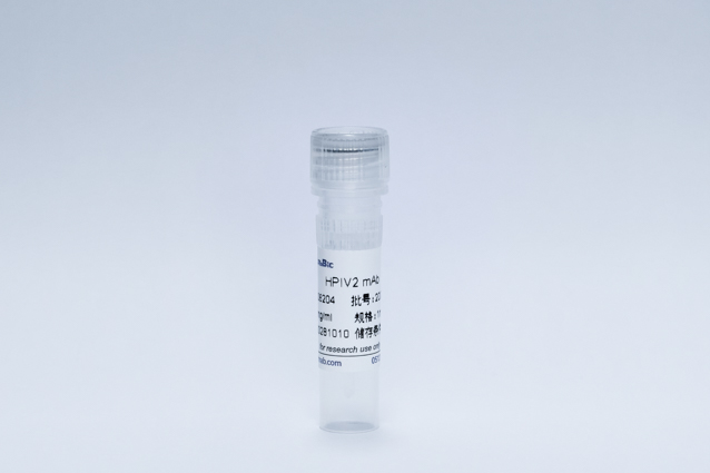 Recombinant HPIV2 mAb