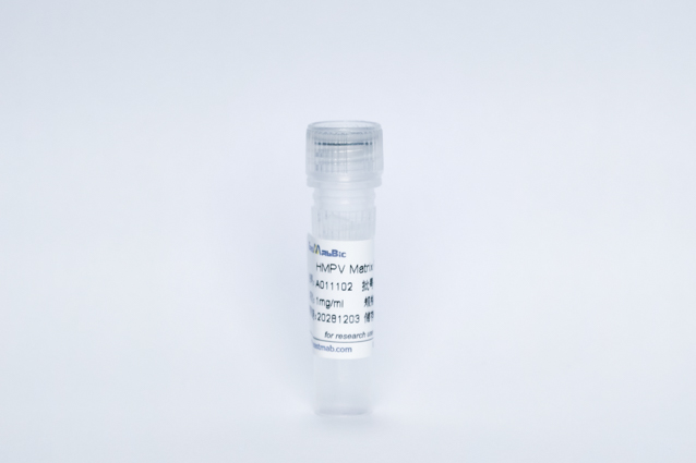 Recombinant HMPV Matrix Protein