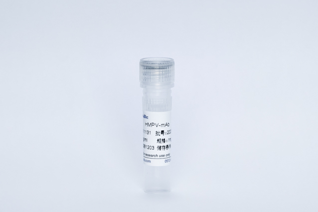 Recombinant HMPV-mAb