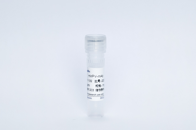 Recombinant HMPV-mAb