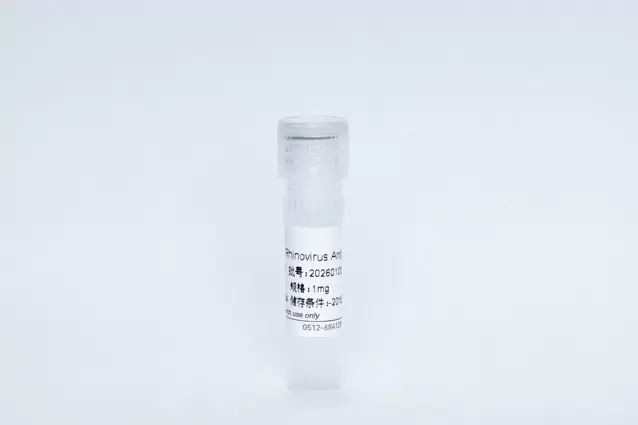 Recombinant Rhinovirus Antigen