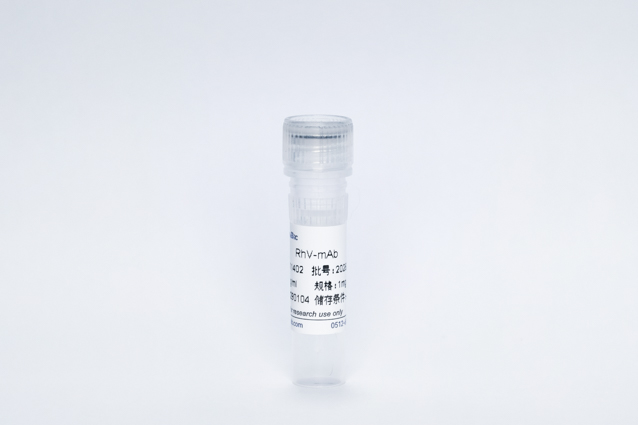 Recombinant RhV-mAb