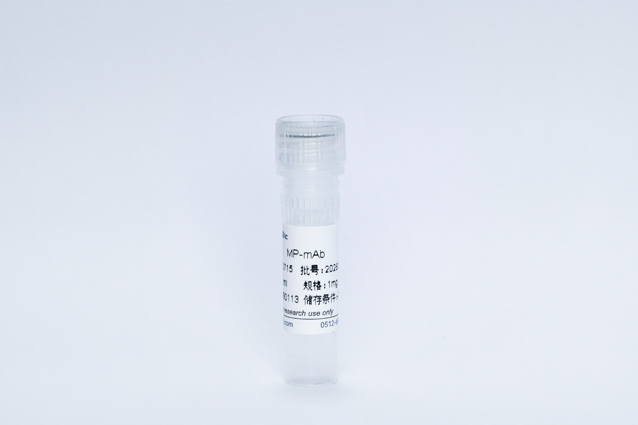 Recombinant Mycoplasma Pneumoniae Protein (MP-mAb)