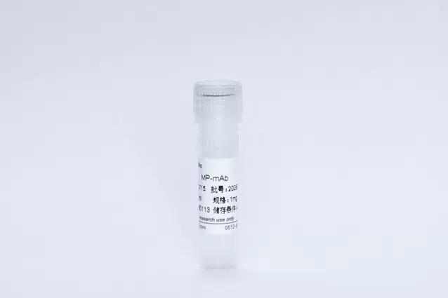 MP Monoclonal Antibody