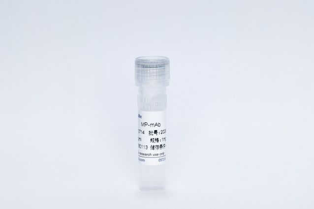Recombinant Mycoplasma Pneumoniae Protein (MP-mAb)