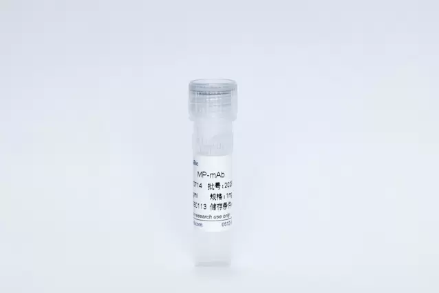 MP Monoclonal Antibody
