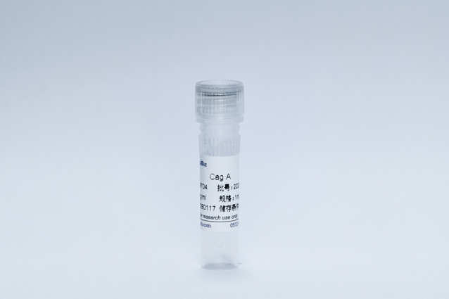 Recombinant Cag A Protein (Cag A)
