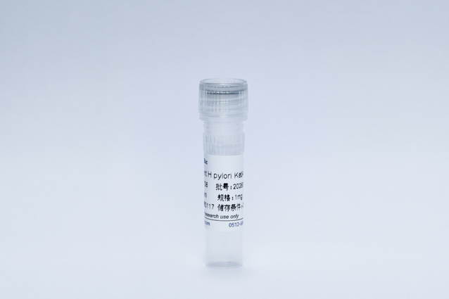 Recombinant H.pylori KatA Antigen