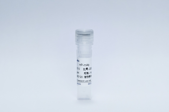 Recombinant Helicobacter Pylori Protein (HP-mAb)