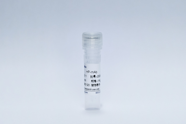 Recombinant Helicobacter Pylori Protein (HP-mAb)