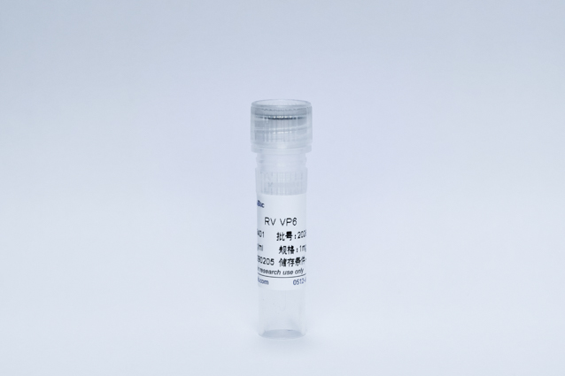 Recombinant Rotavirus Protein (RV VP6)