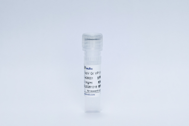Recombinant Rotavirus Protein (NoV GI VP1(His Tag))