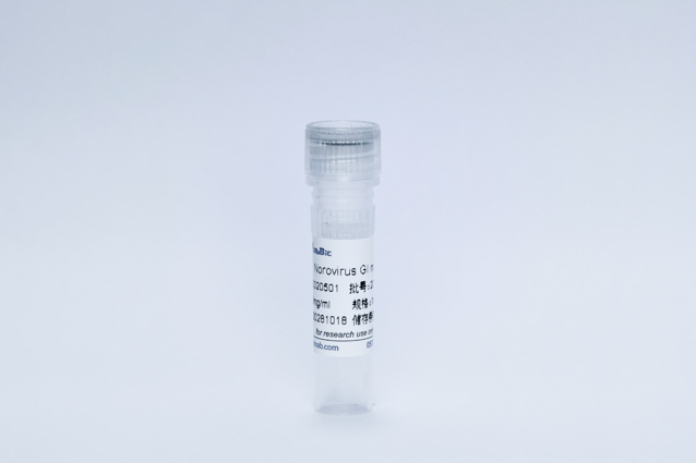 Recombinant Norovirus GI Protein (Norovirus GI mAb)