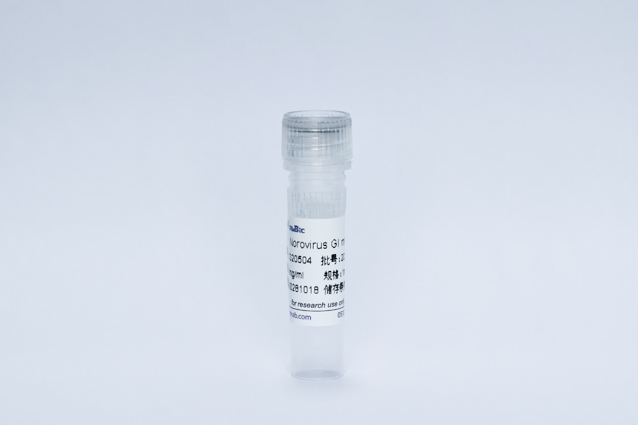 Recombinant Norovirus GI Protein (Norovirus GI mAb)