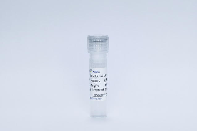 Recombinant NoV GII-4 VP1(His Tag)