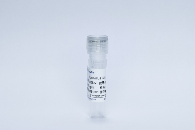 Recombinant Norovirus GII mAb