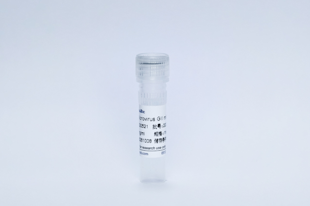 Recombinant Norovirus GII mAb