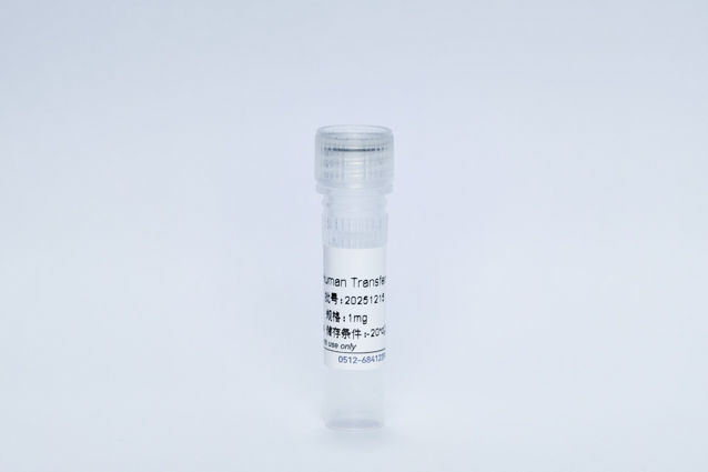 Recombinant Human Transferrin Protein