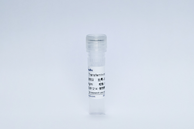 Recombinant Transferrin Protein (Transferrin-mAb)
