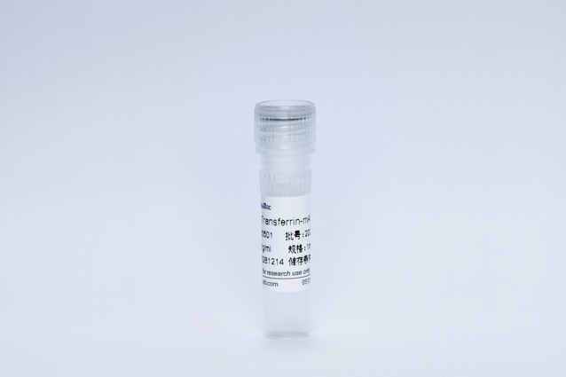 Recombinant Transferrin Protein (Transferrin-mAb)