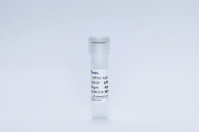 Recombinant MPXV A29L mAb