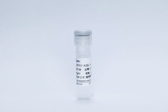 Recombinant MPXV A29L mAb