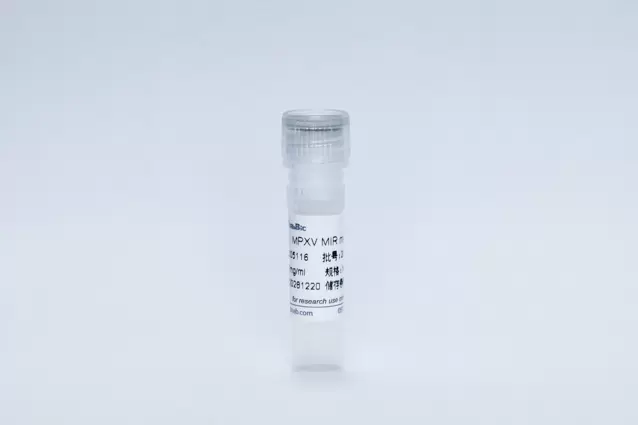 MPXV MIR Monoclonal Antibody