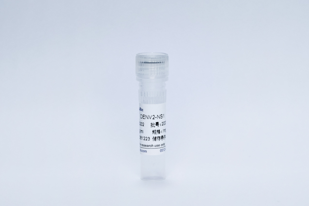 Recombinant Dengue Virus 2-NS1 Protein (DENV2-NS1)